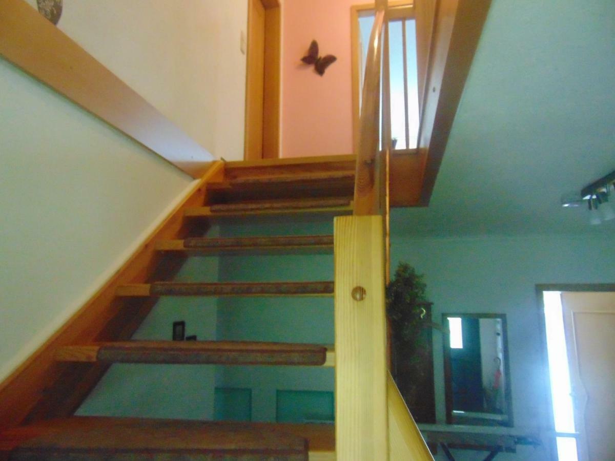 Ferienhaus Emmelie 코니그스부슈터하우젠 외부 사진